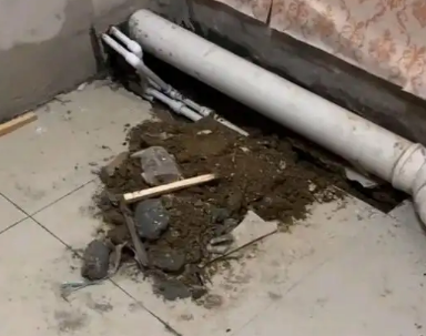 闵行卫生间漏水检测哪家好
