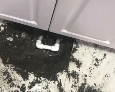闵行查漏水哪家好